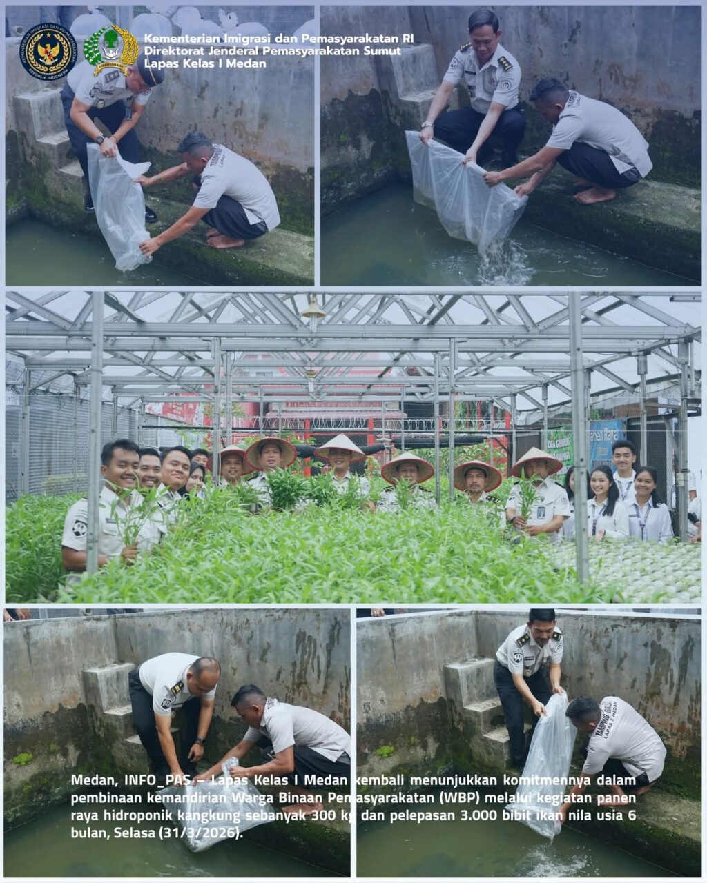 Lapas Kelas I Medan Panen 300 Kg Kangkung Hidroponik, Ribuan Bibit Ikan Nila Dilepas untuk Perkuat Ketahanan Pangan